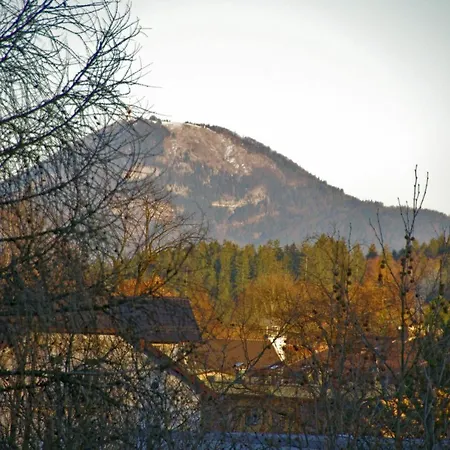 Apartment Bad Reichenhall Bad Reichenhall